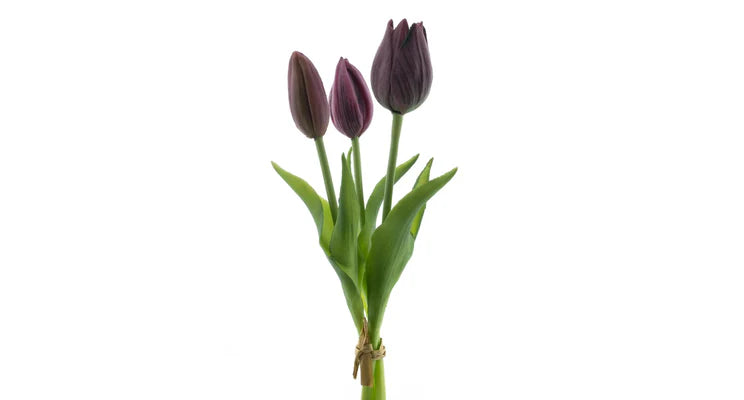 Tulpenboeket aubergine 3st