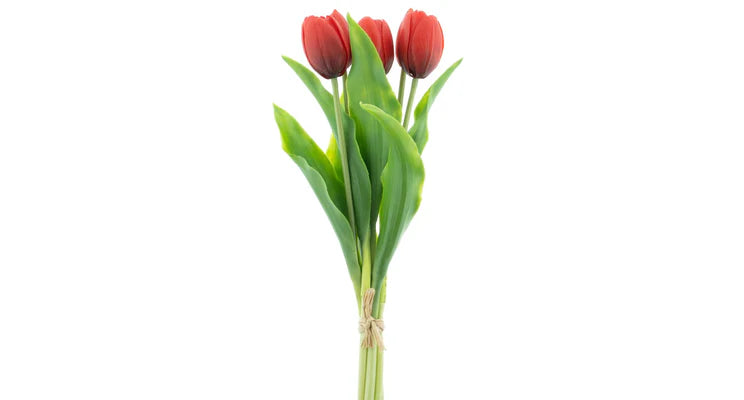 Tulpenboeket rood 5st