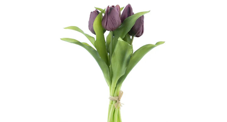 Tulpenboeket aubergine 7st