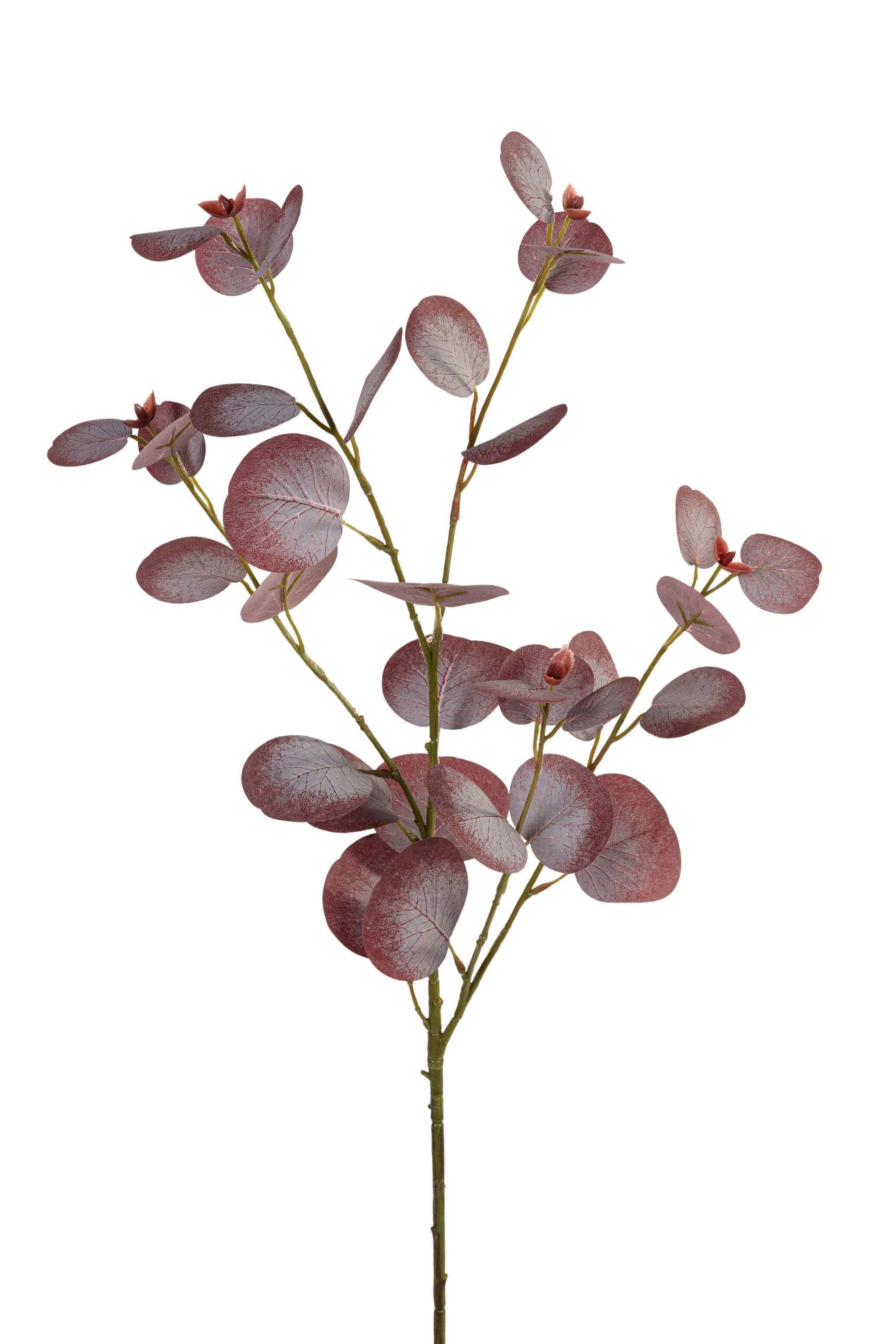 Eucalyptus l80cm burgundy
