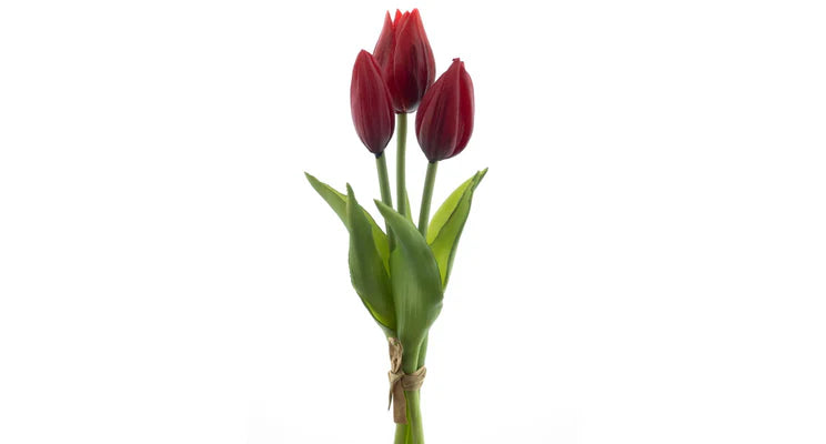 Tulpenboeket rood 3st