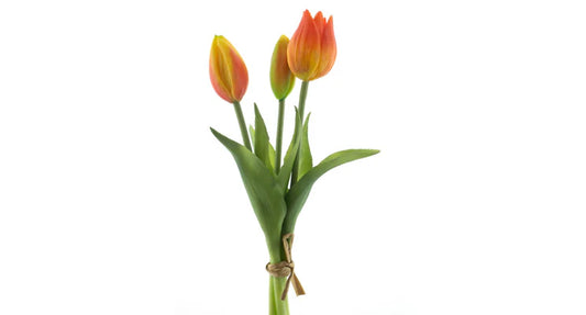 Tulpenboeket Oranje 3st