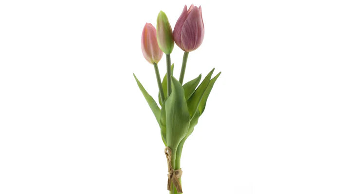 Tulpenboeket roze 3st
