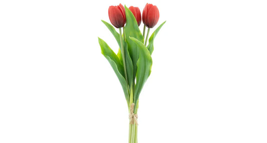 Tulpenboeket rood 5st