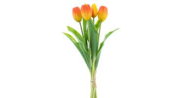 Tulpenboeket oranje 5st