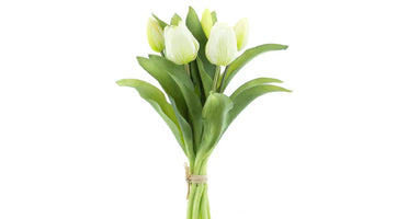 Tulpenboeket cream 7st