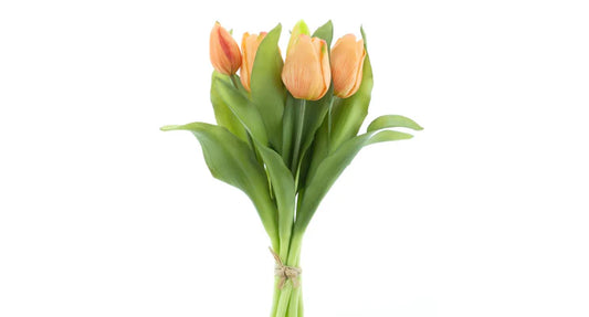 Tulpenboeket peach 7st