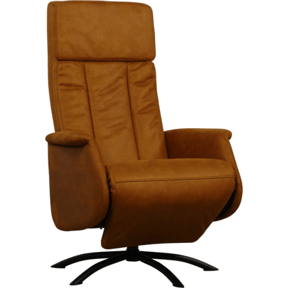 Fauteuil Elektrische + accu