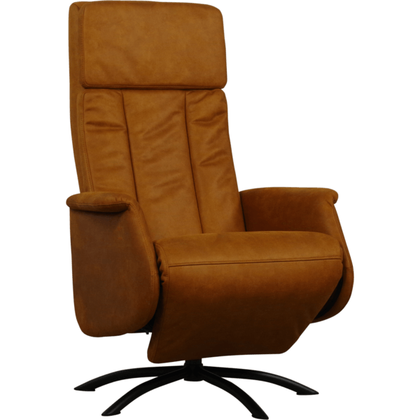 Fauteuil Elektrische + accu